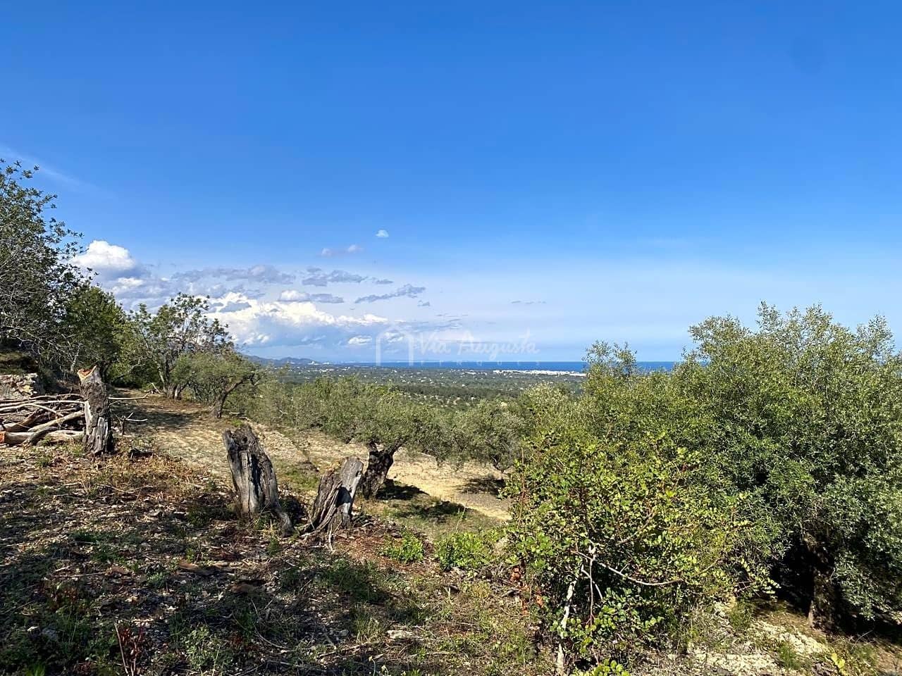 Grunde uden byggetilladelser til salg i L'Ametlla de Mar - € 78.000 (Ref: 8312712)