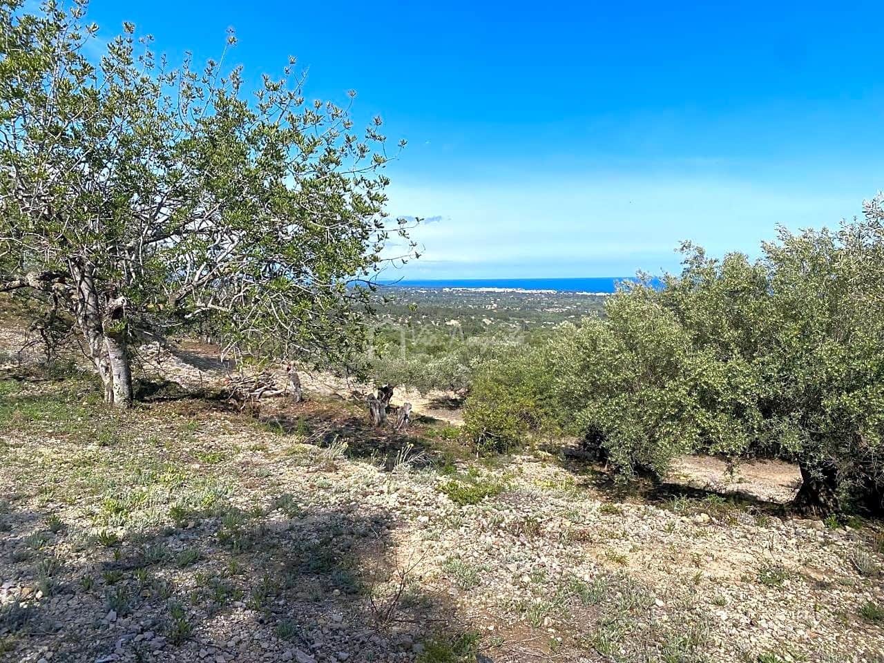 Grunde uden byggetilladelser til salg i L'Ametlla de Mar - € 78.000 (Ref: 8312712)