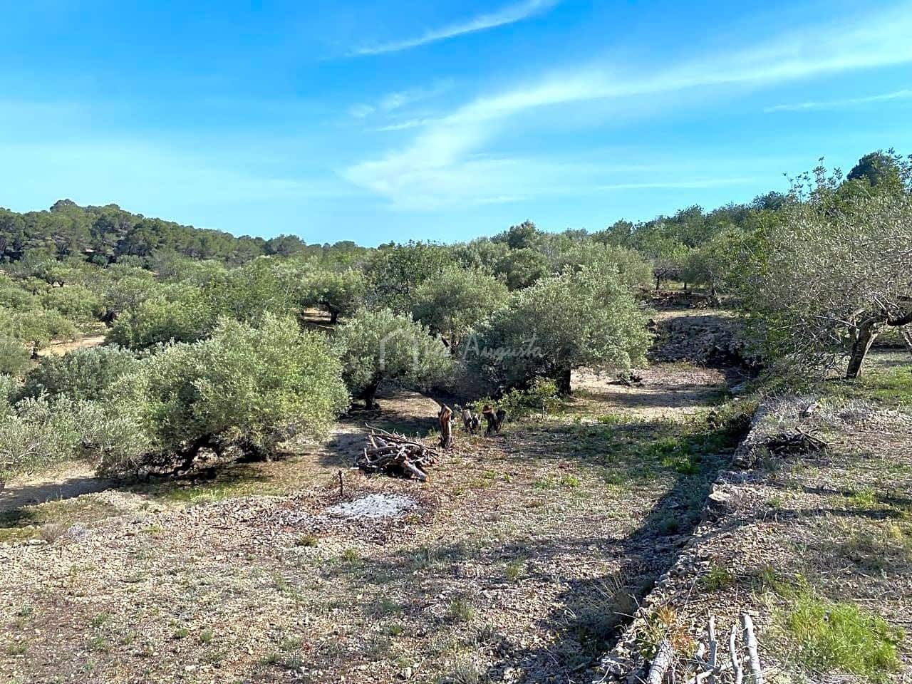 Grunde uden byggetilladelser til salg i L'Ametlla de Mar - € 78.000 (Ref: 8312712)