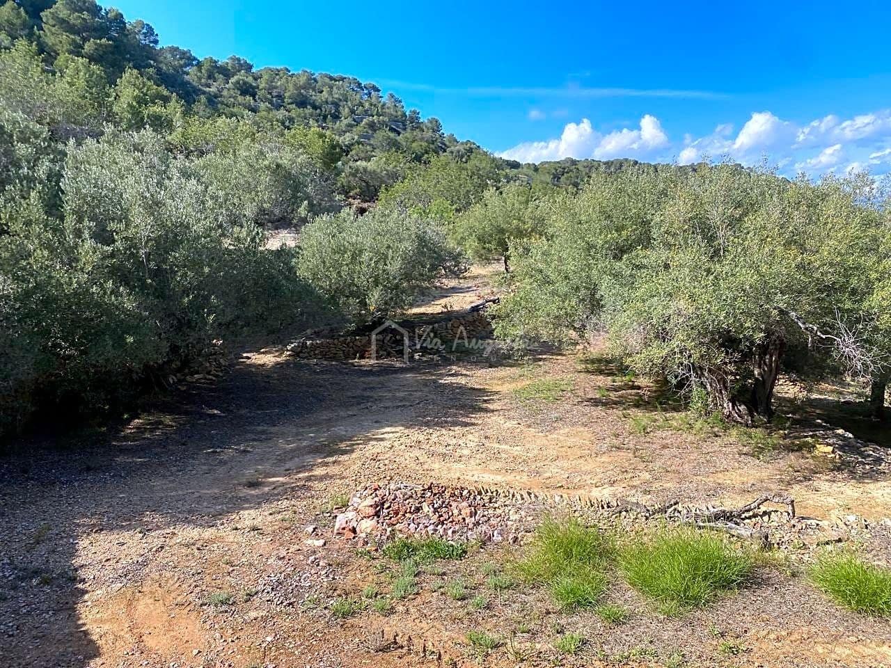 Grunde uden byggetilladelser til salg i L'Ametlla de Mar - € 78.000 (Ref: 8312712)