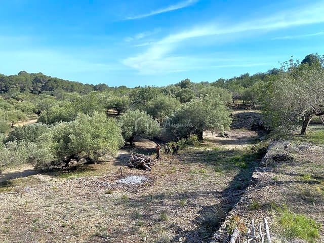 Rakentamaton maa myytävänä paikassa L'Ametlla de Mar - 78 000 € (Ref: 8312712)