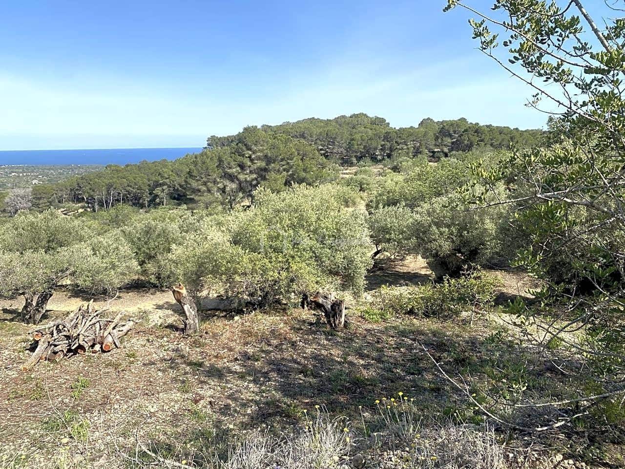 Grunde uden byggetilladelser til salg i L'Ametlla de Mar - € 78.000 (Ref: 8312712)