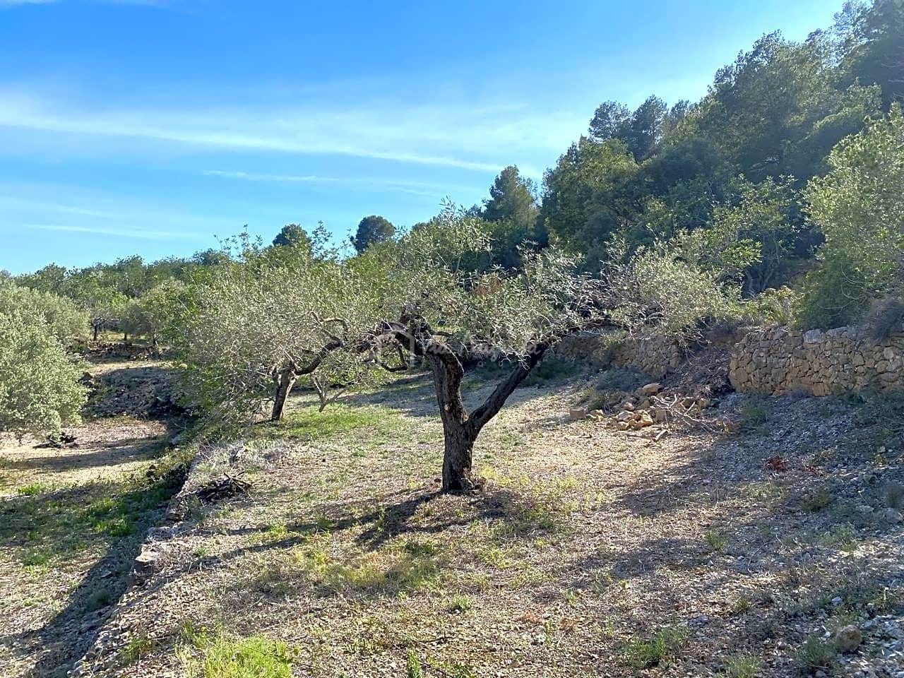 Grunde uden byggetilladelser til salg i L'Ametlla de Mar - € 78.000 (Ref: 8312712)