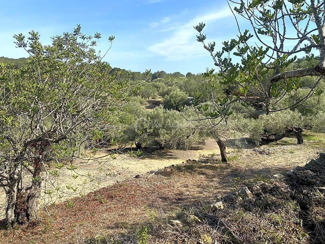 Grunde uden byggetilladelser til salg i L'Ametlla de Mar - € 78.000 (Ref: 8312712)