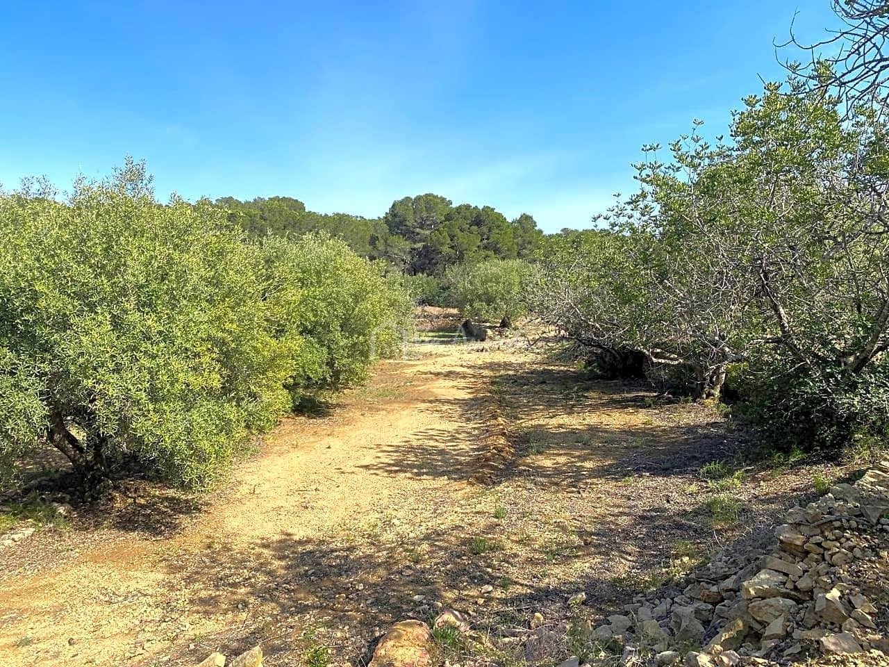 Grunde uden byggetilladelser til salg i L'Ametlla de Mar - € 78.000 (Ref: 8312712)