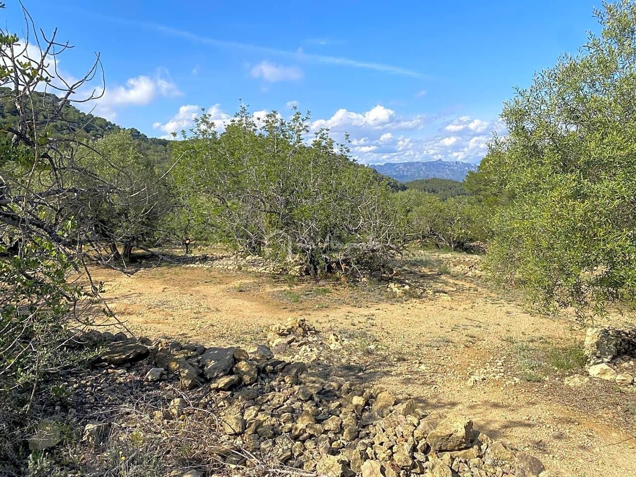 Grunde uden byggetilladelser til salg i L'Ametlla de Mar - € 78.000 (Ref: 8312712)