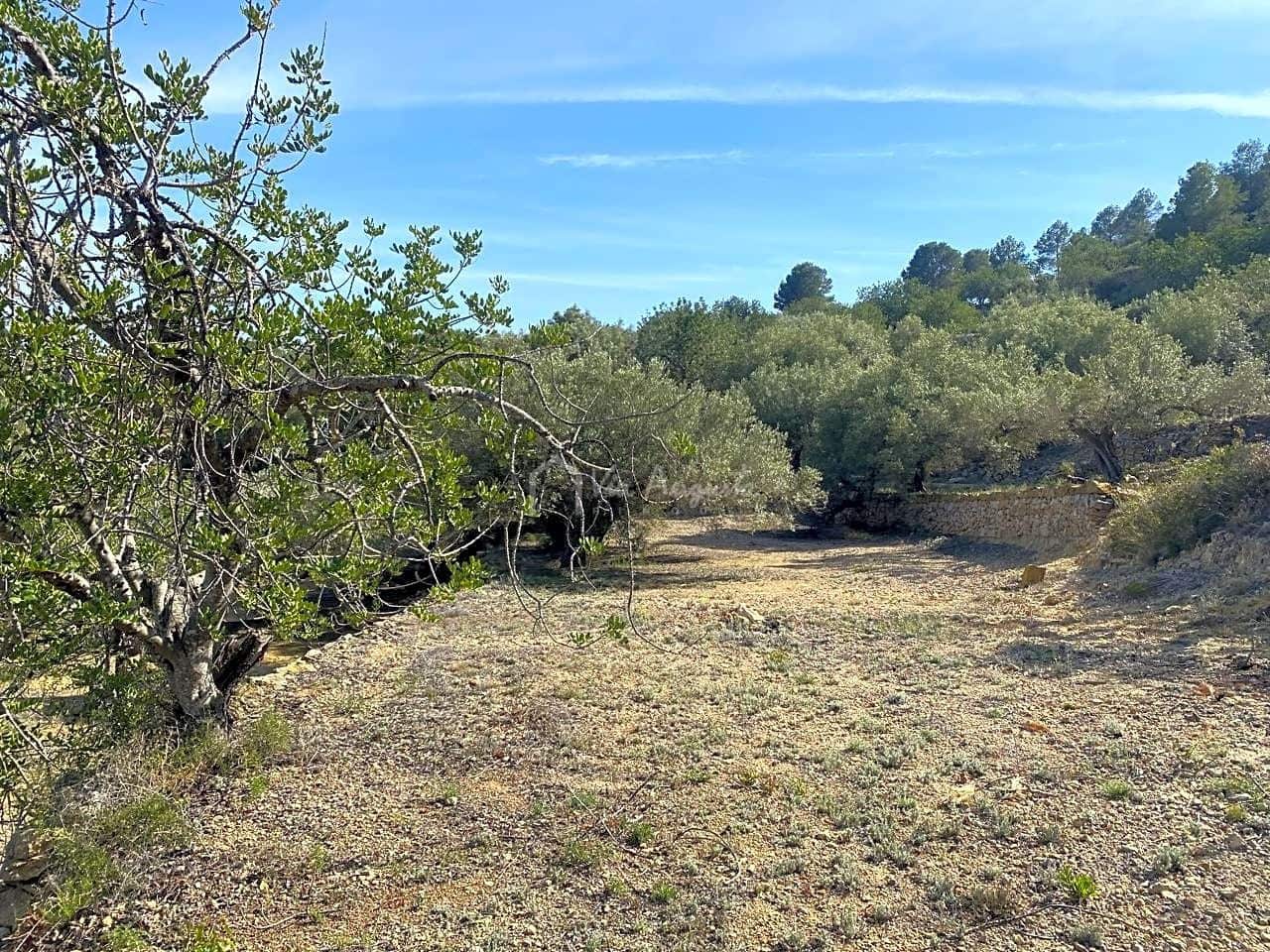 Grunde uden byggetilladelser til salg i L'Ametlla de Mar - € 78.000 (Ref: 8312712)