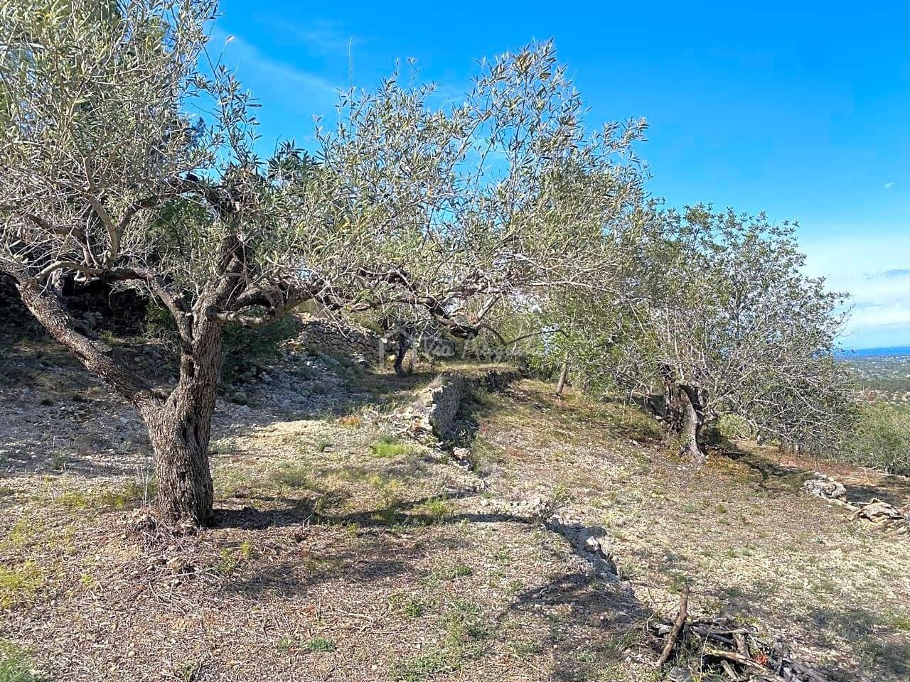 Grunde uden byggetilladelser til salg i L'Ametlla de Mar - € 78.000 (Ref: 8312712)