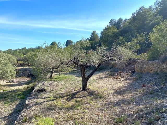 Rakentamaton maa myytävänä paikassa L'Ametlla de Mar - 78 000 € (Ref: 8312712)