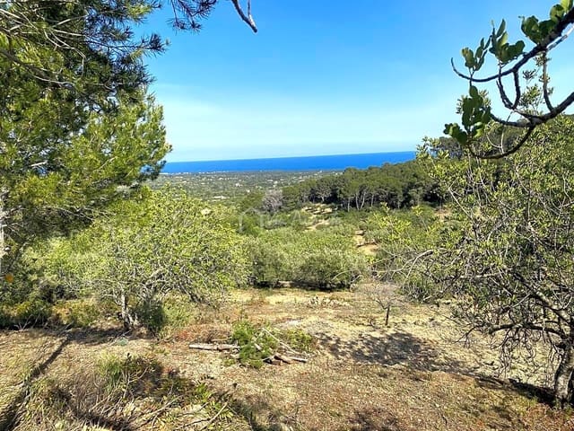 Rakentamaton maa myytävänä paikassa L'Ametlla de Mar - 78 000 € (Ref: 8312712)