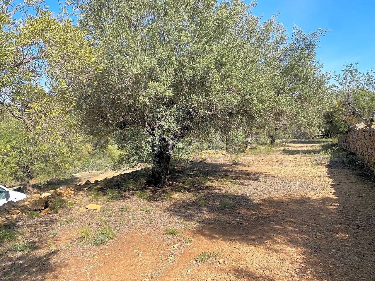 Grunde uden byggetilladelser til salg i L'Ametlla de Mar - € 78.000 (Ref: 8312712)