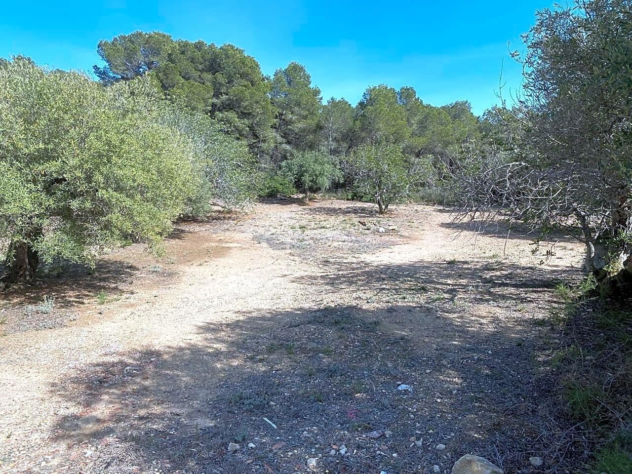 Grunde uden byggetilladelser til salg i L'Ametlla de Mar - € 78.000 (Ref: 8312712)