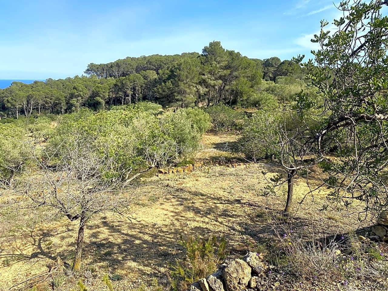 Grunde uden byggetilladelser til salg i L'Ametlla de Mar - € 78.000 (Ref: 8312712)