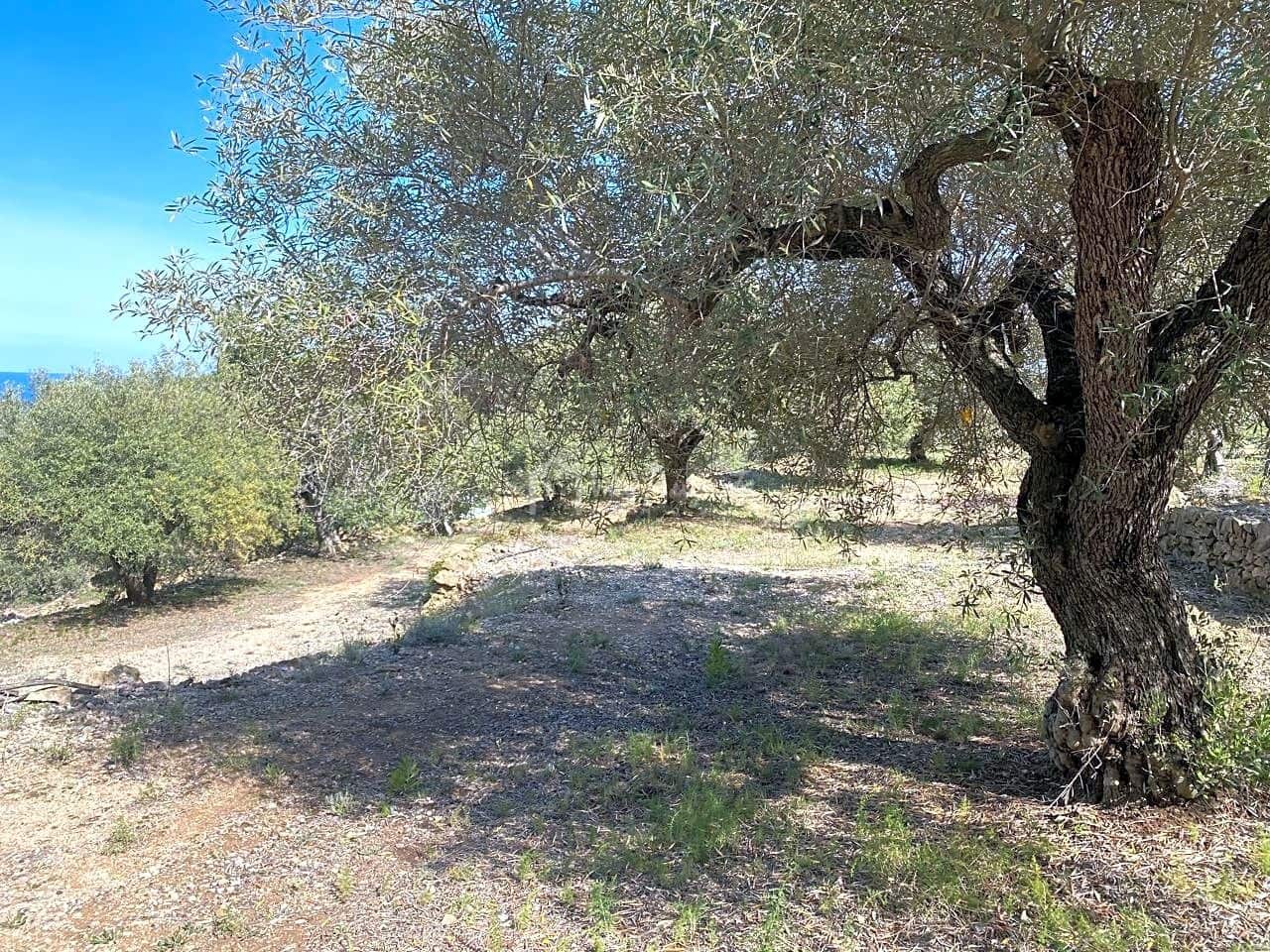 Grunde uden byggetilladelser til salg i L'Ametlla de Mar - € 78.000 (Ref: 8312712)