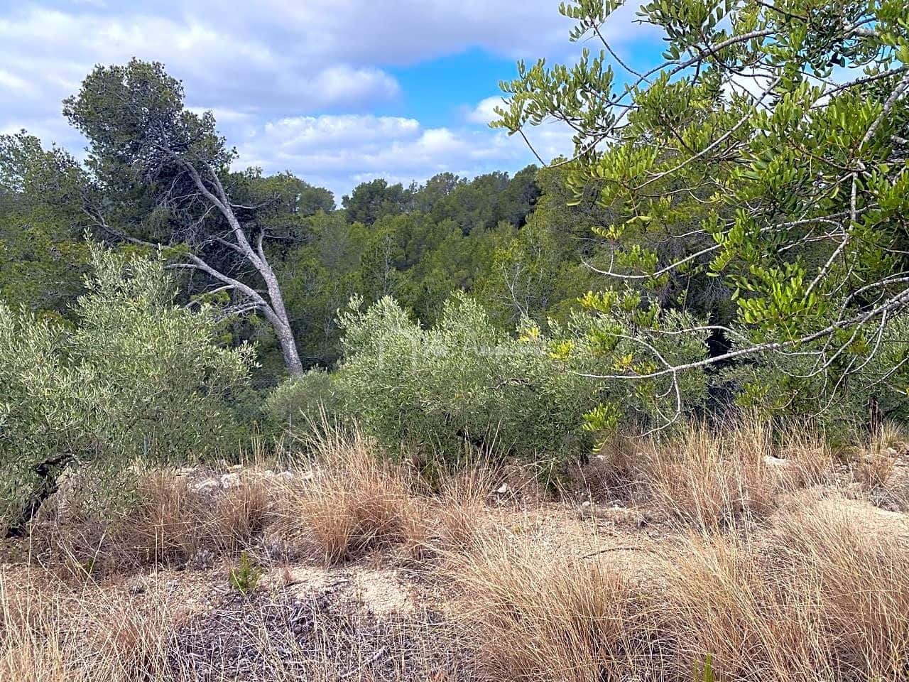 3 sovrum Finca/Hus på landet till salu i L'Ametlla de Mar med garage - 230 000 € (Ref: 8370352)