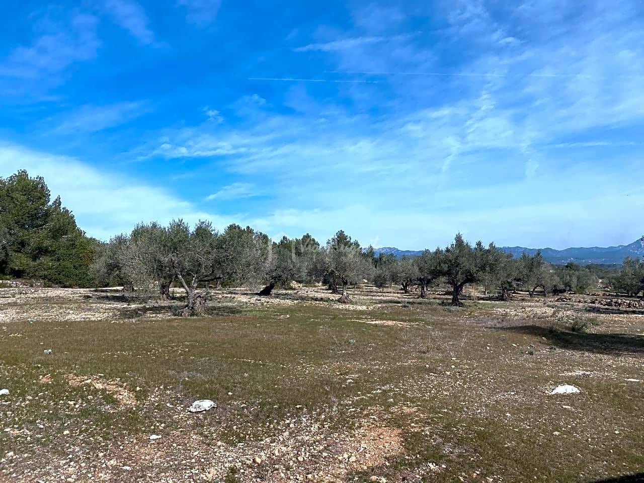 Teren niezagospodarowany na sprzedaż w El Perello - 50 000 € (Ref: 8397668)