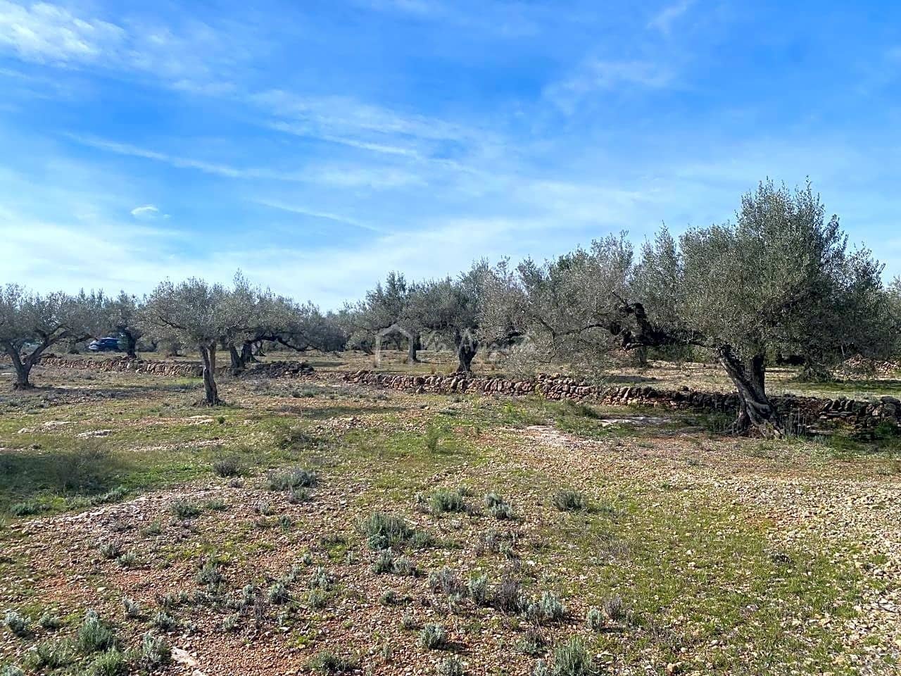 Teren niezagospodarowany na sprzedaż w El Perello - 50 000 € (Ref: 8397668)