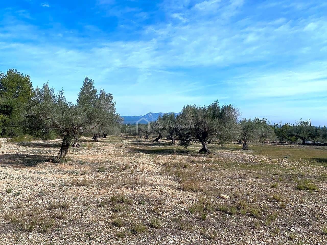 Teren niezagospodarowany na sprzedaż w El Perello - 50 000 € (Ref: 8397668)