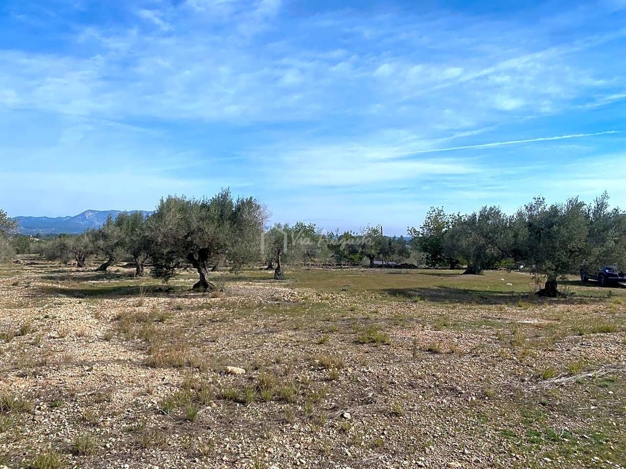Teren niezagospodarowany na sprzedaż w El Perello - 50 000 € (Ref: 8397668)