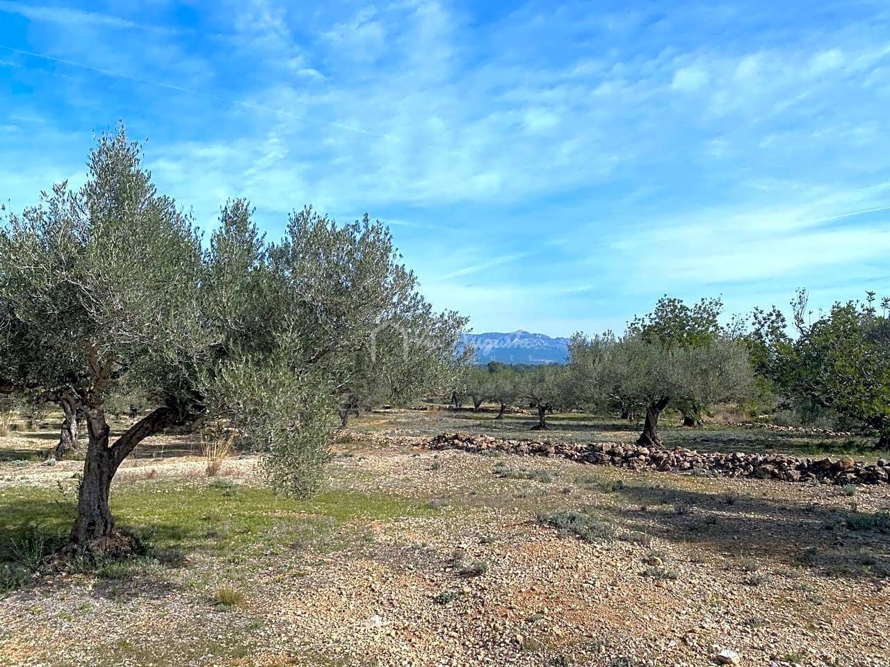 Teren niezagospodarowany na sprzedaż w El Perello - 50 000 € (Ref: 8397668)