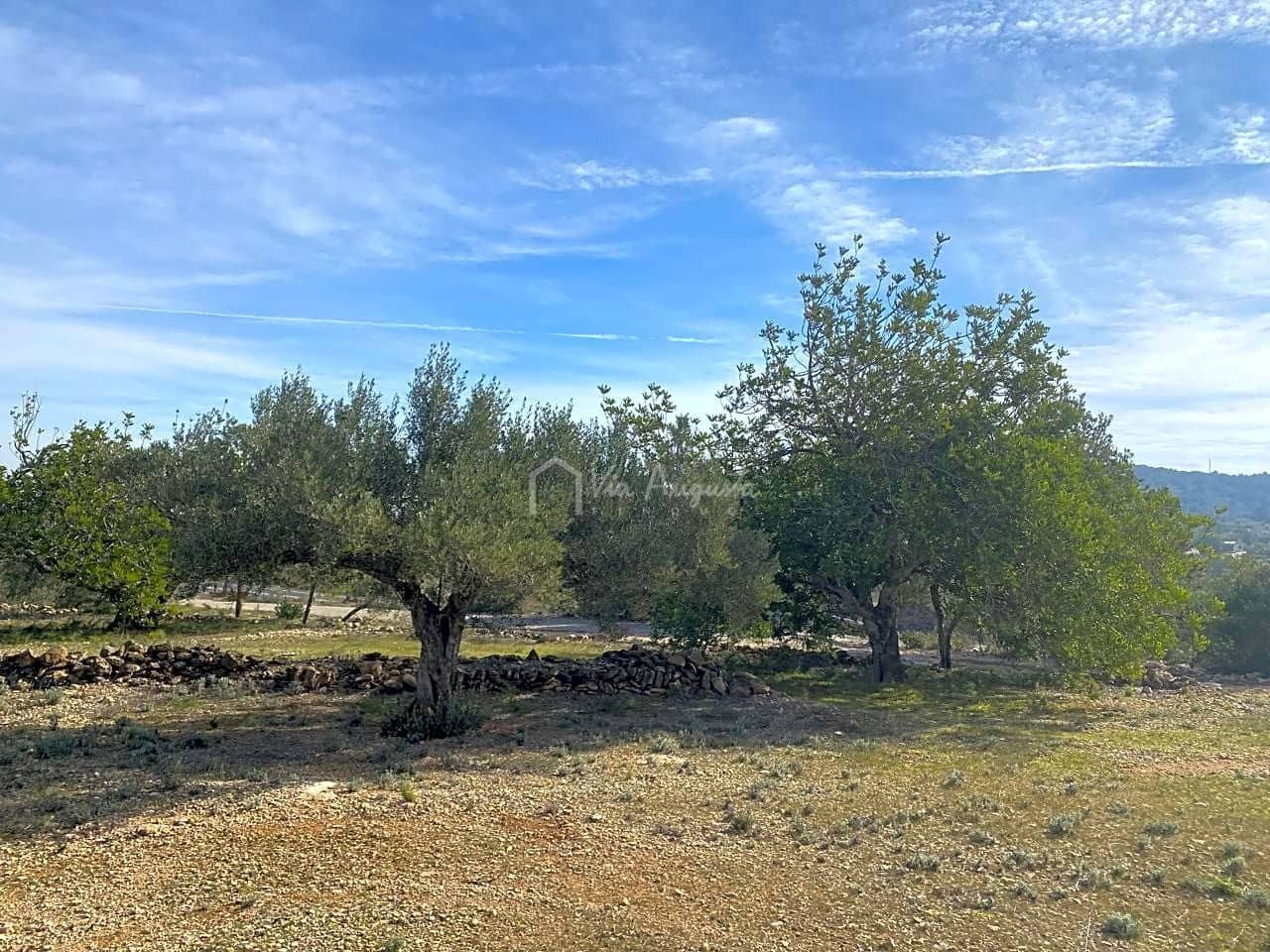 Teren niezagospodarowany na sprzedaż w El Perello - 50 000 € (Ref: 8397668)