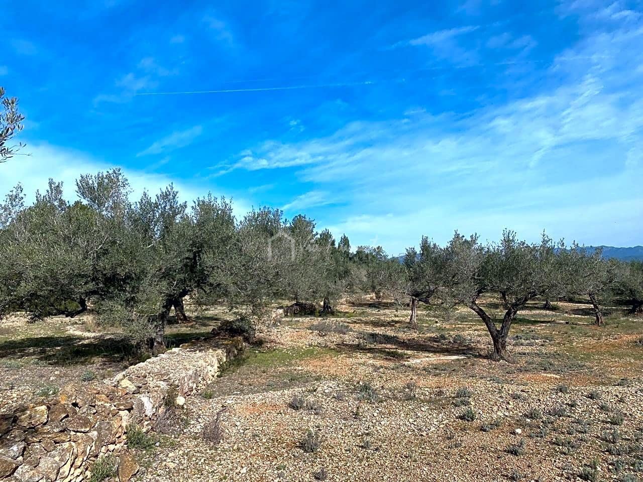 Teren niezagospodarowany na sprzedaż w El Perello - 50 000 € (Ref: 8397668)