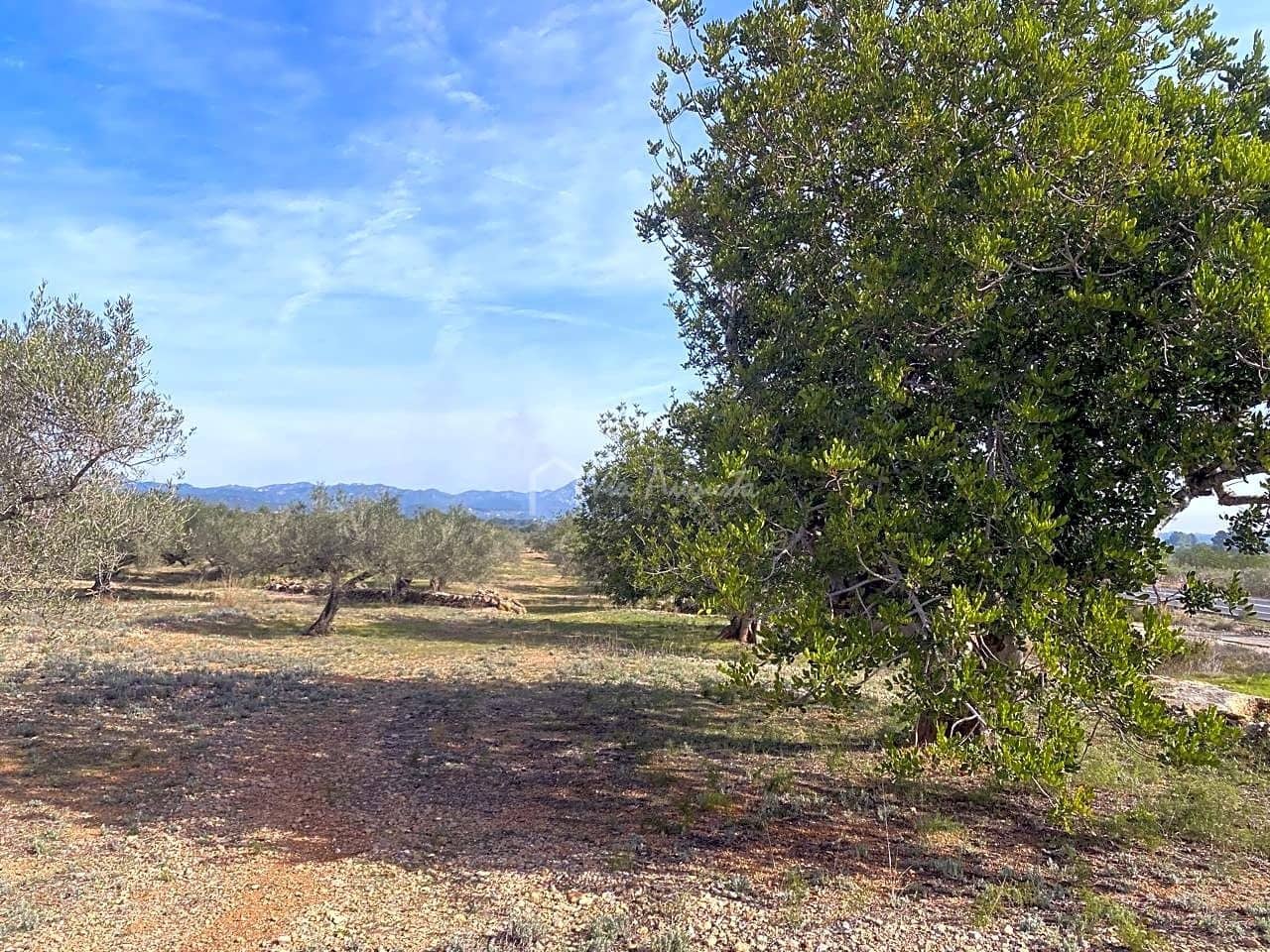 Teren niezagospodarowany na sprzedaż w El Perello - 50 000 € (Ref: 8397668)