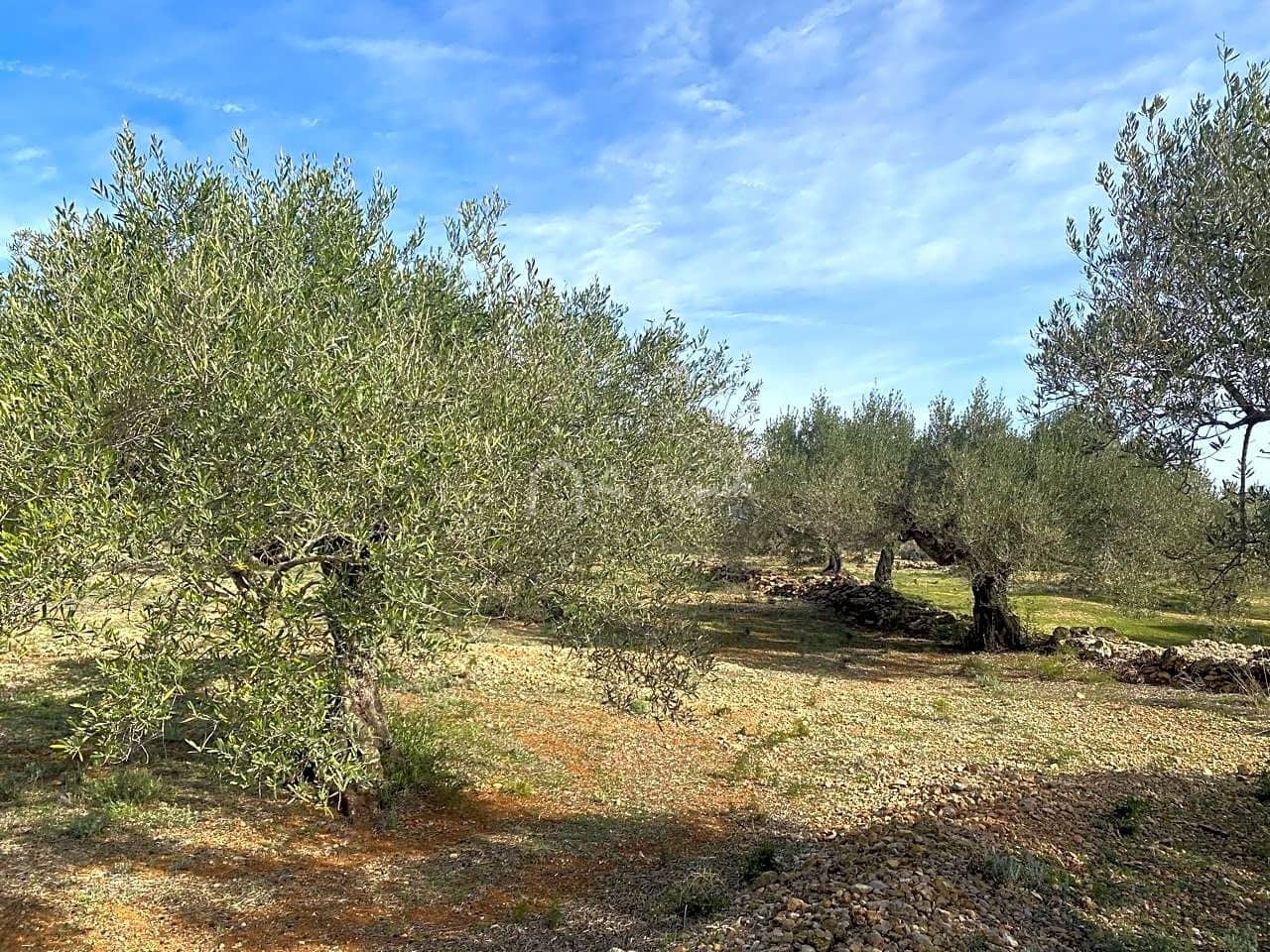 Teren niezagospodarowany na sprzedaż w El Perello - 50 000 € (Ref: 8397668)