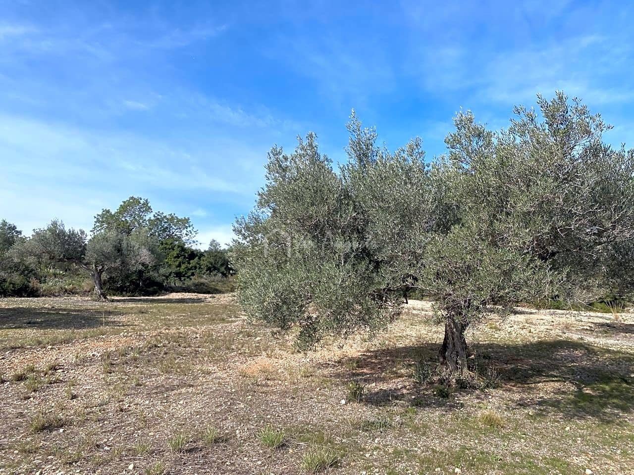 Teren niezagospodarowany na sprzedaż w El Perello - 50 000 € (Ref: 8397668)