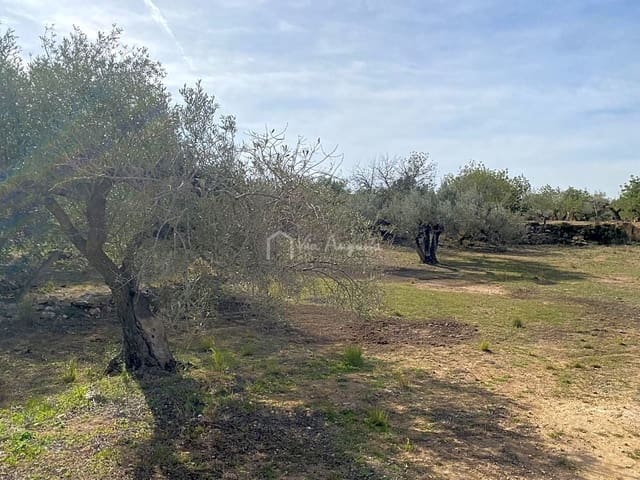 Terre non Aménagée à vendre à El Perelló - 33 000 € (Ref: 8397669)