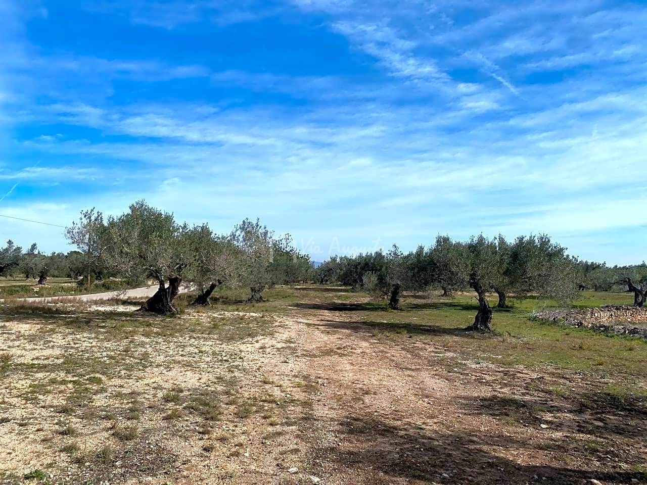 Mark till salu i El Perello - 33 000 € (Ref: 8397669)