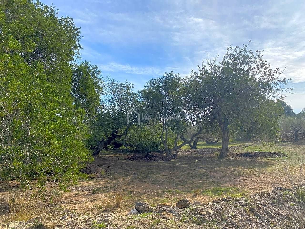 Mark till salu i El Perello - 33 000 € (Ref: 8397669)