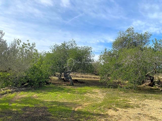 Terre non Aménagée à vendre à El Perelló - 33 000 € (Ref: 8397669)