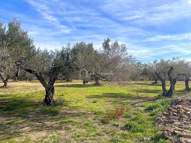 Terre non Aménagée à vendre à El Perelló - 33 000 € (Ref: 8397669)