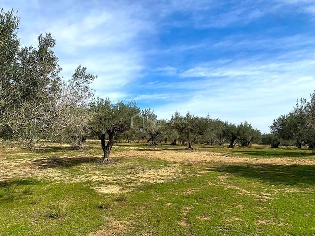 Terre non Aménagée à vendre à El Perelló - 33 000 € (Ref: 8397669)