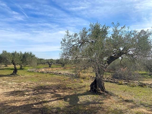 Terre non Aménagée à vendre à El Perelló - 33 000 € (Ref: 8397669)
