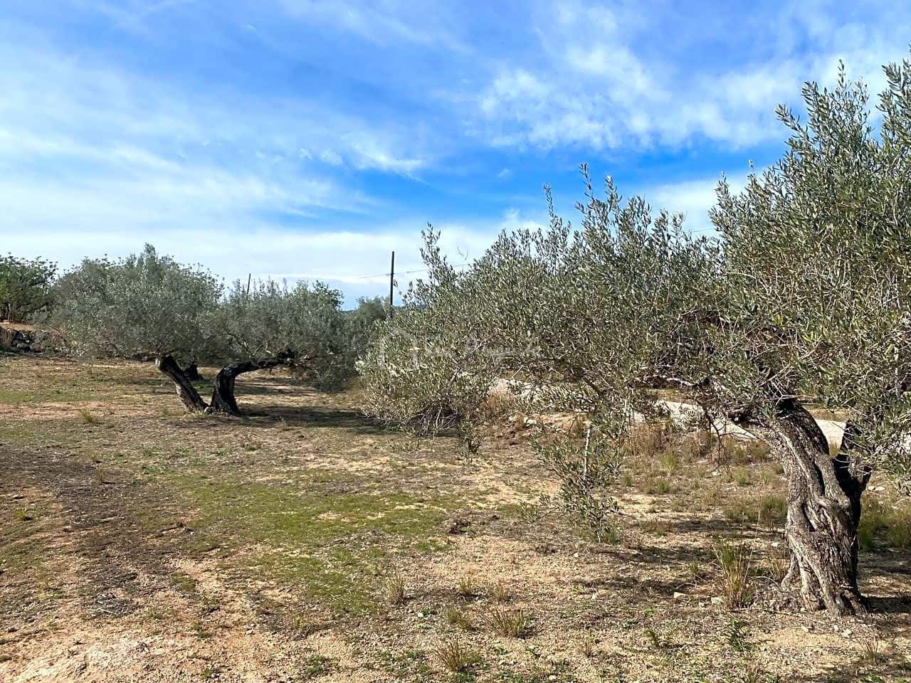 Mark till salu i El Perello - 33 000 € (Ref: 8397669)