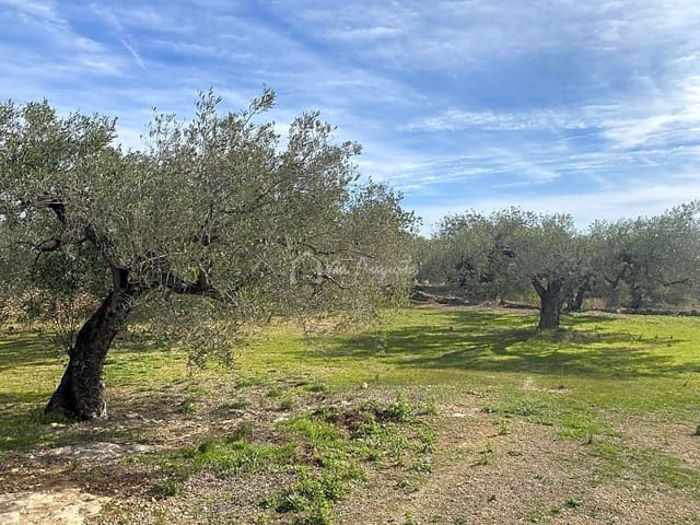 Terre non Aménagée à vendre à El Perelló - 33 000 € (Ref: 8397669)