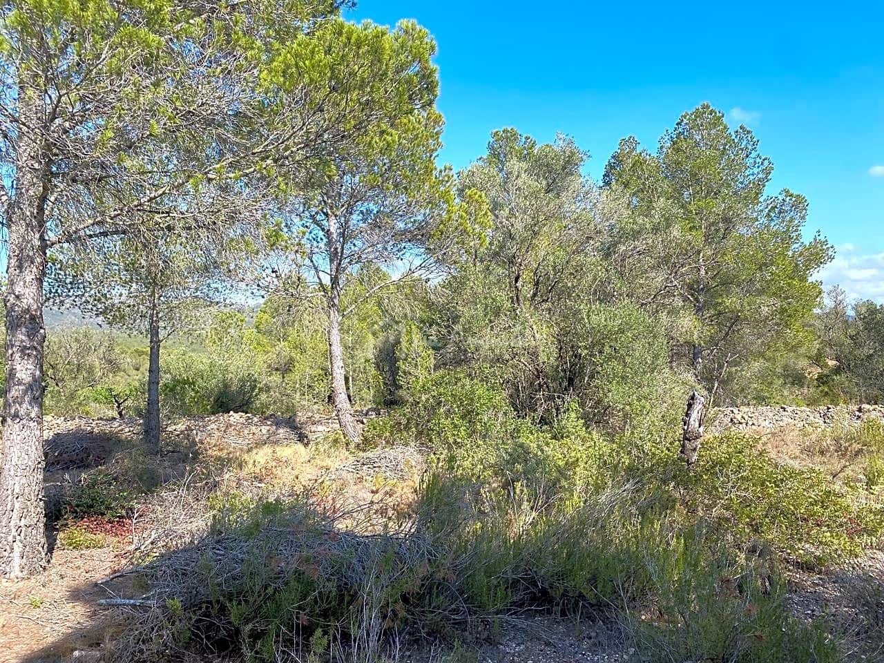 Grunde uden byggetilladelser til salg i Rasquera - € 75.000 (Ref: 8433371)