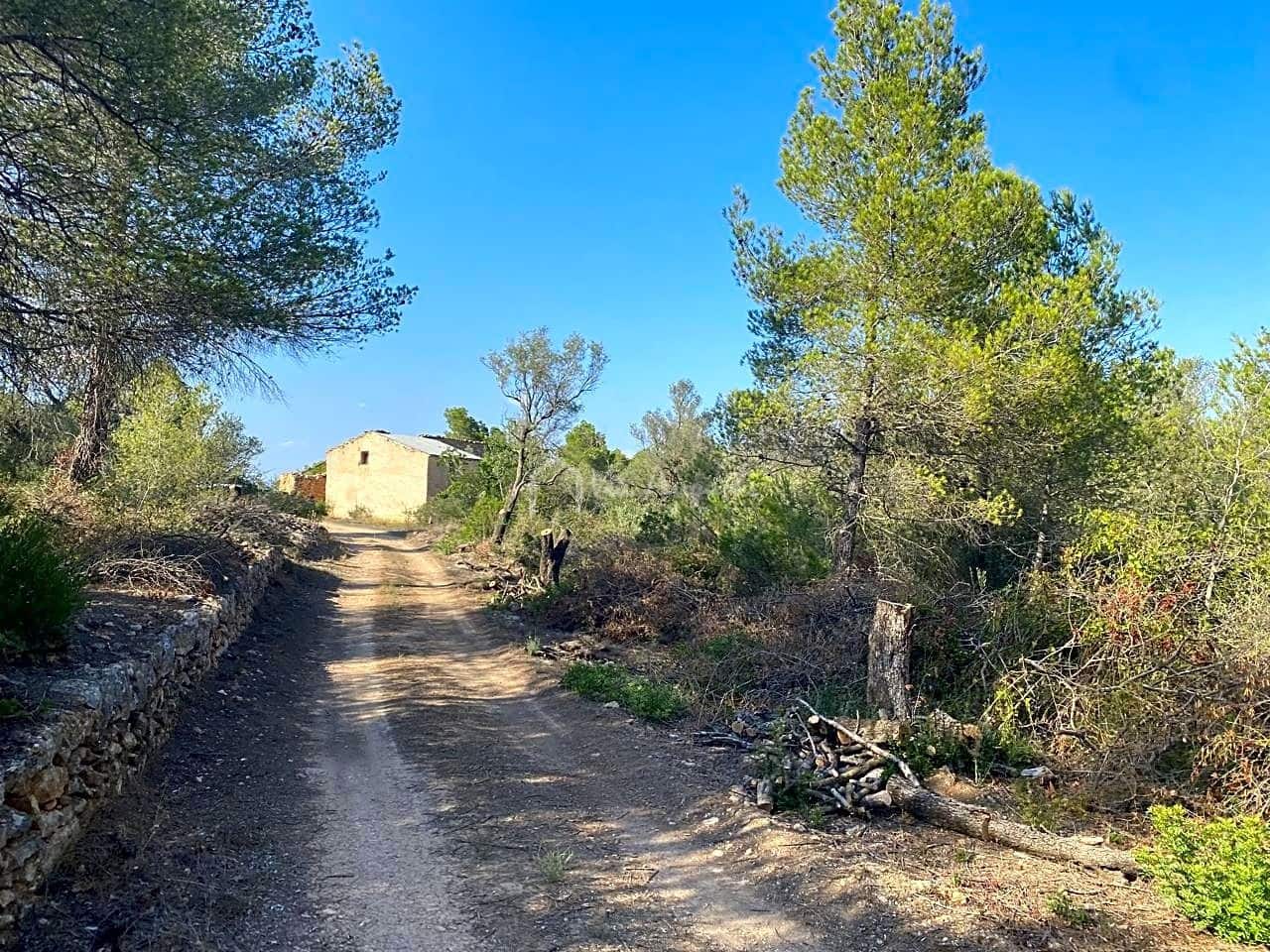 Grunde uden byggetilladelser til salg i Rasquera - € 75.000 (Ref: 8433371)