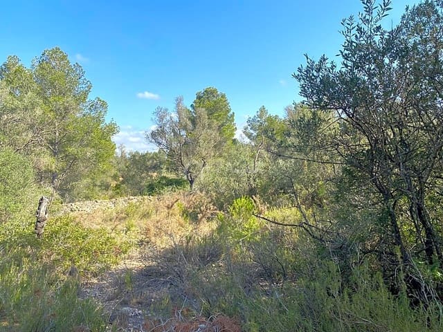 Undeveloped Land for sale in Rasquera - € 75,000 (Ref: 8433371)
