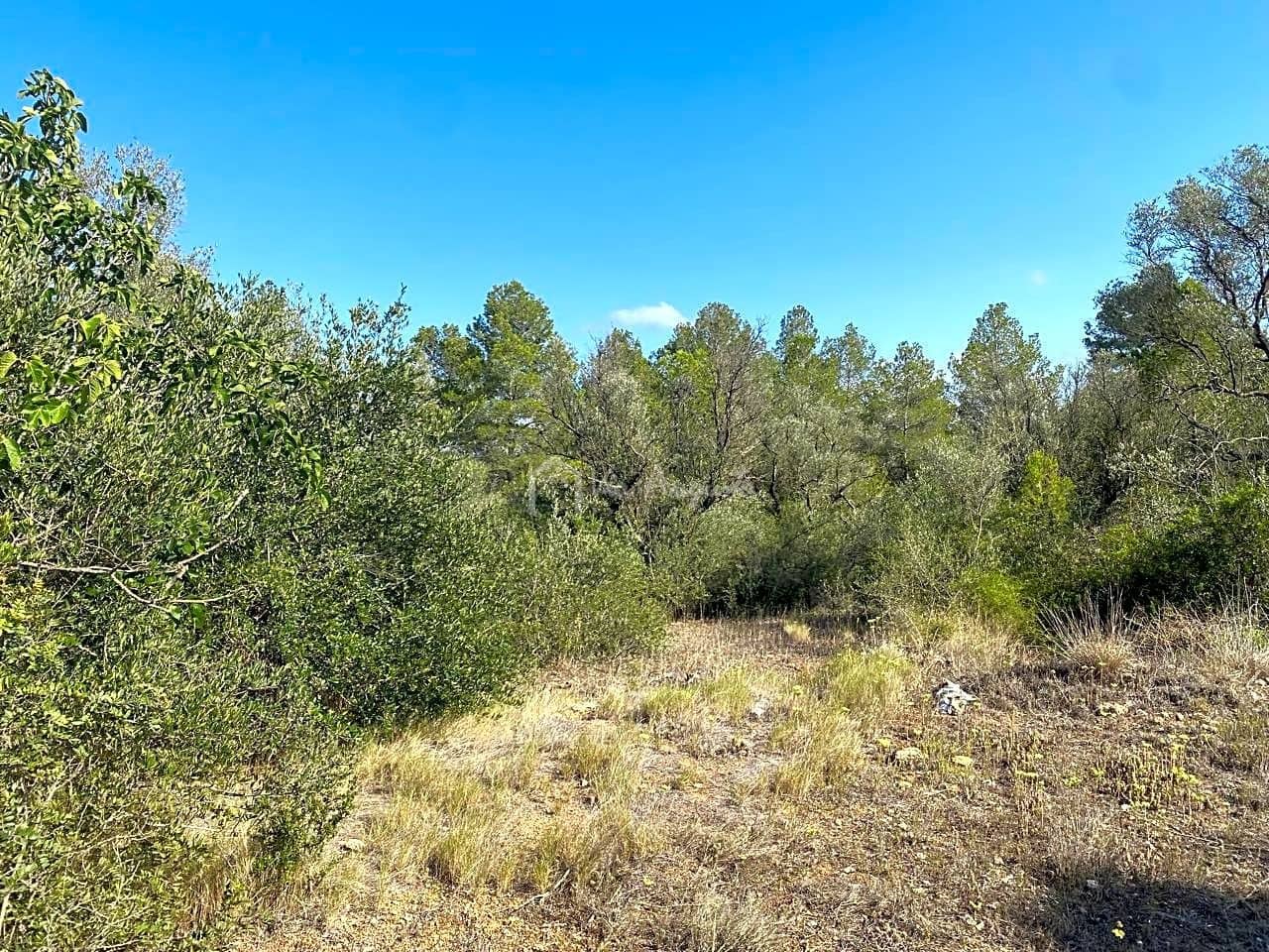 Grunde uden byggetilladelser til salg i Rasquera - € 75.000 (Ref: 8433371)