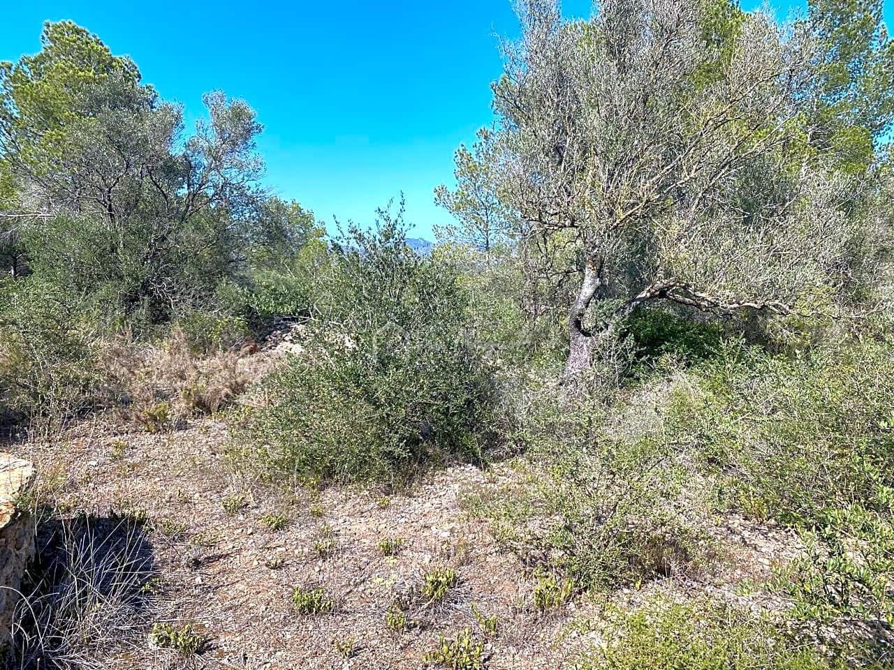 Grunde uden byggetilladelser til salg i Rasquera - € 75.000 (Ref: 8433371)