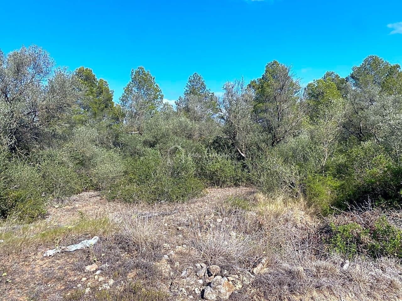 Grunde uden byggetilladelser til salg i Rasquera - € 75.000 (Ref: 8433371)