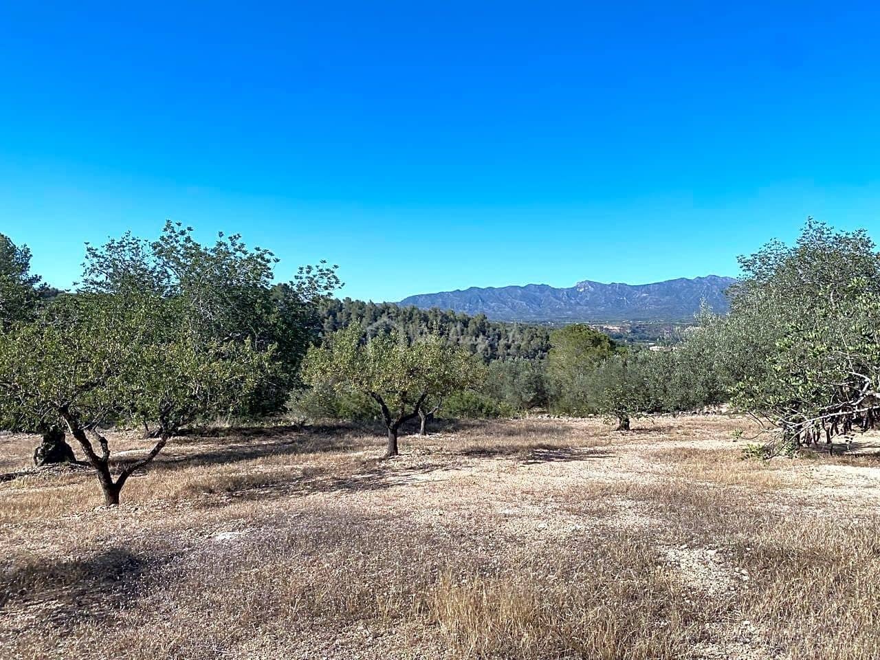 Grond te koop in Aldover - € 55.000 (Ref: 8439435)