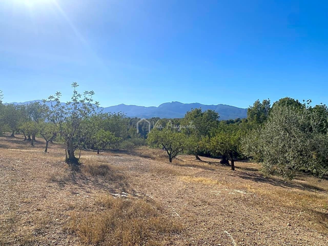 Grond te koop in Aldover - € 55.000 (Ref: 8439435)