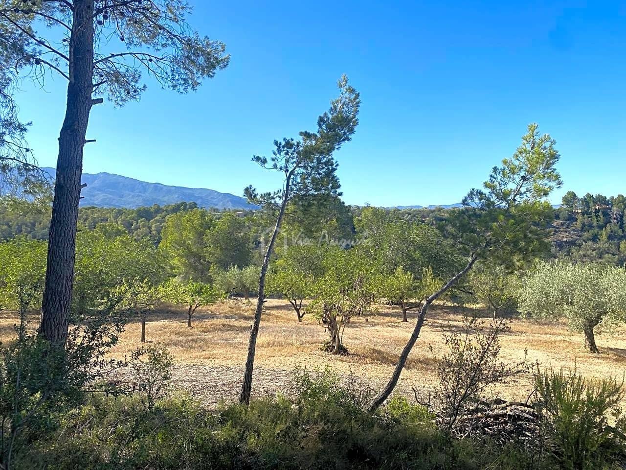 Grond te koop in Aldover - € 55.000 (Ref: 8439435)