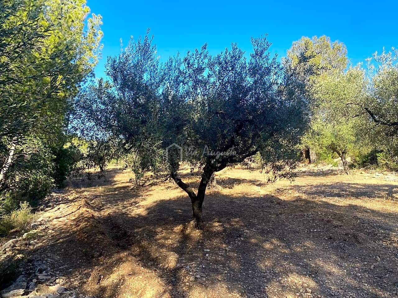 Grond te koop in Aldover - € 55.000 (Ref: 8439435)