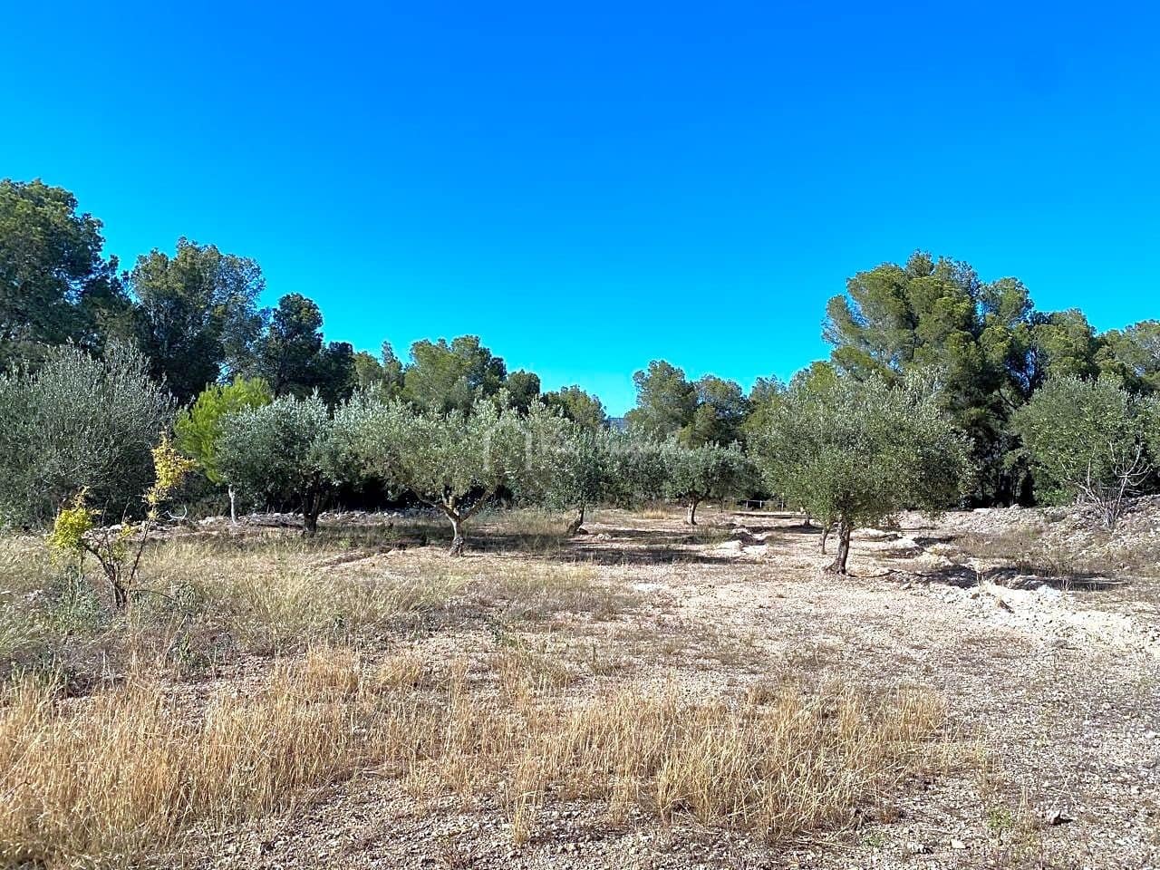 Grond te koop in Aldover - € 55.000 (Ref: 8439435)