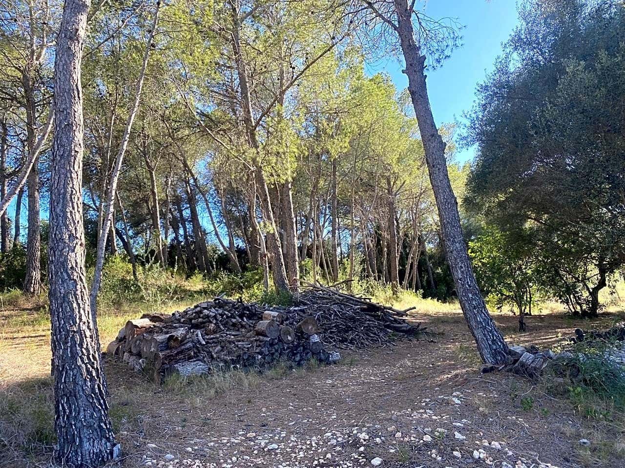 Grond te koop in Aldover - € 55.000 (Ref: 8439435)